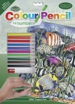 ROYAL CPN7 PENCIL BY NUMBER TROPICAL FISH 9X12