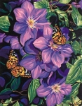 DIMENSIONS 91403 CLEMATIS AND BUTTERFLIES PBN