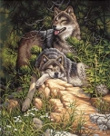 DIMENSIONS 91416 WILD AND FREE WOLVES PBN