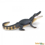 SAFARI 276429 CAIMAN