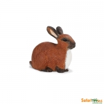 SAFARI 245429 CONEJO