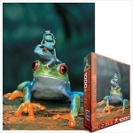 EUROGRAPHICS 6000-3004 RED EYED TREE FROG PUZZLE 1000 PIEZAS