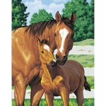DIMENSIONS 91100 MOTHERS PRIDE ( HORSE W/ FOAL ) PAINT BY NUMBER ( 11 PULGX14 PULG )