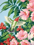 DIMENSIONS 91310 HUMMINGBIRD & FUCHSIA FLOWERS PAINT BY NUMBER ( 9 PULGX12 PULG )