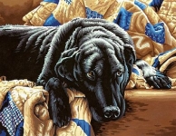 DIMENSIONS 91469 GUILTY PLEASURES ( BLACK LABRADOR LYING ON SOFA ) PAINT BY NUMBER ( 14 PULGX11 PULG )