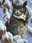 DIMENSIONS 91476 WINTER WATCH ( OWL IN TREE SNOW SCENE ) PAINT BY NUMBER ( 11 PULGX14 PULG )