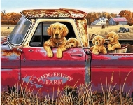 DIMENSIONS 91525 GOLDEN RIDE ( DOGS IN PICKUP TRUCK ) PAINT BY NUMBER ( 20 PULGX16 PULG )
