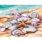 DIMENSIONS 91526 SHELLS ( SEASHORE ) PAINT BY NUMBER ( 11 PULGX14 PULG )
