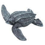 SAFARI 202429 TORTUGA LAUD