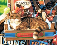 DIMENSIONS 91655 CAT SIGNS PAINT BY NUMBER ( CAT LAYING IN TOOLBOX ) ( 11PULGX14PULG )