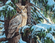 DIMENSIONS 91772 GREAT HORNED OWL SITTING IN SNOW COVERED TREE PAINT BY NUMBER (20PULGX16PULG)