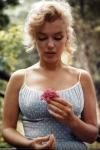 SMARTCIBLE FP3891 POSTER MAXI MARILYN MONROE FLOWER