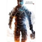 SMARTCIBLE FP2878 POSTER MAXI DEADSPACE COVER VERSION 3