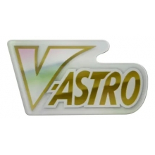 POKEMON ASTROS BRILLANTES CARTA MARCADOR V - ASTRO MARCADOR
