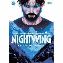 OVNI DC NIGHTWING LA CAIDA DE GRAYSON