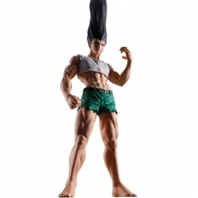 BANPRESTO 4033 HUNTERXHUNTER FL GON FIGURE