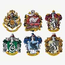 PANTASTIC 1650 HARRY POTTER HARRY POTTER MAGIC MAGNET BLIND BOX SINGLE UNIT