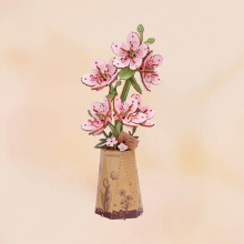 ROBOTIME TW101 SAKURA