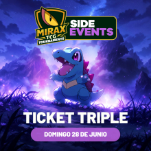 Descripci&oacute;n